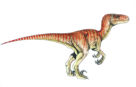 Novo pterossauro encontrado no Canadá chegava a ter 10 metros de