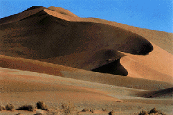 High dunes of the Namib near
Sossus Viei