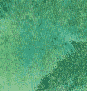 Landsat image of the Thar desert