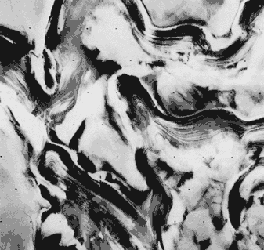 Viking spacecraft image of Mars