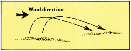 Diagram illustrating how saltation works