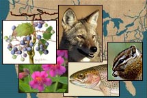 A Fauna e a Flora s�o a unica e verdadeira riquesa do Homem
