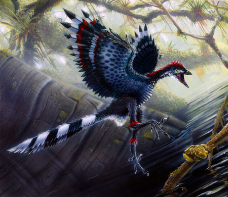 Conheça o Archaeopteryx: o elo perdido entre aves e répteis