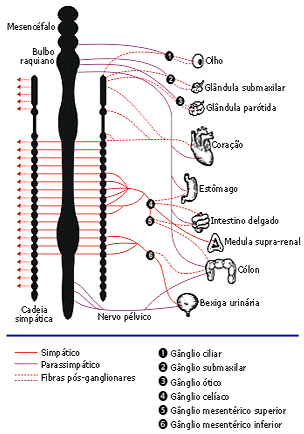 SNA